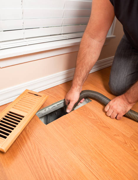 Best Air Duct Cleaning Near Me  in Temple Terrace, FL